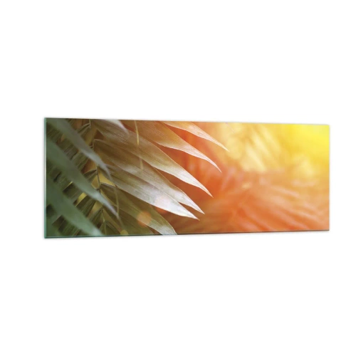 Cuadro sobre vidrio - Impresiones sobre Vidrio - Hojas de palma en los rayos del atardecer. - 140x50cm - Mañana en la selva - Decoración de pared moderna para salón y dormitorio ARTTOR