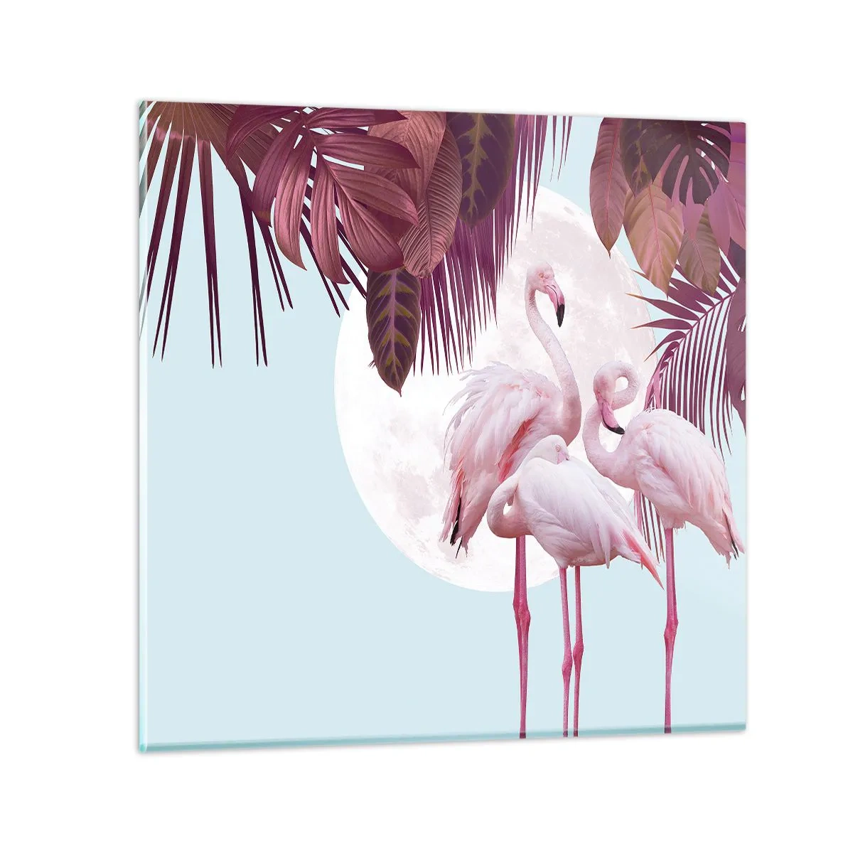 Cuadro sobre vidrio - Impresiones sobre Vidrio - La grandeza de las aves - 60x60 cm