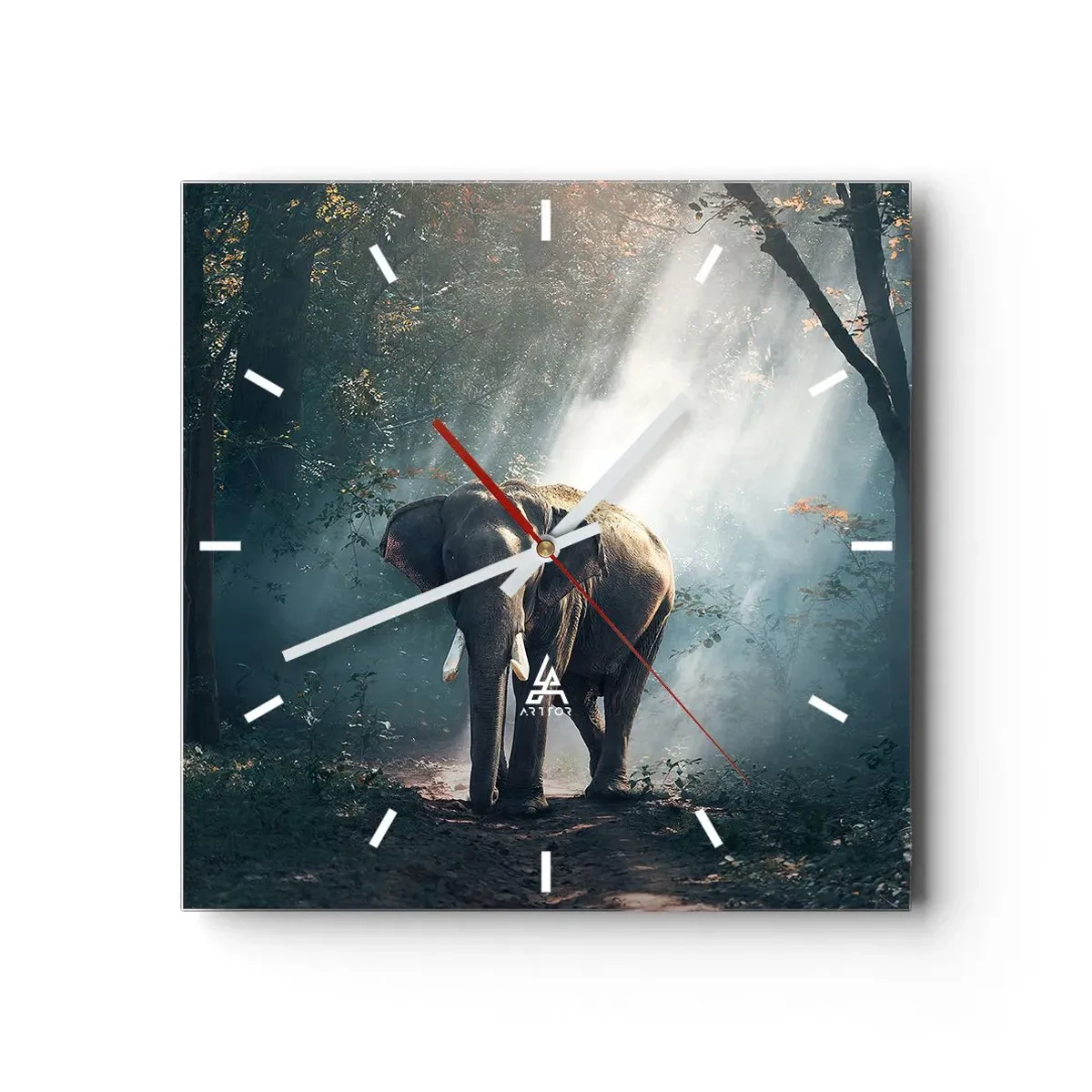 Reloj de pared - Reloj de vidrio - Un paseo tranquilo - 40x40 cm