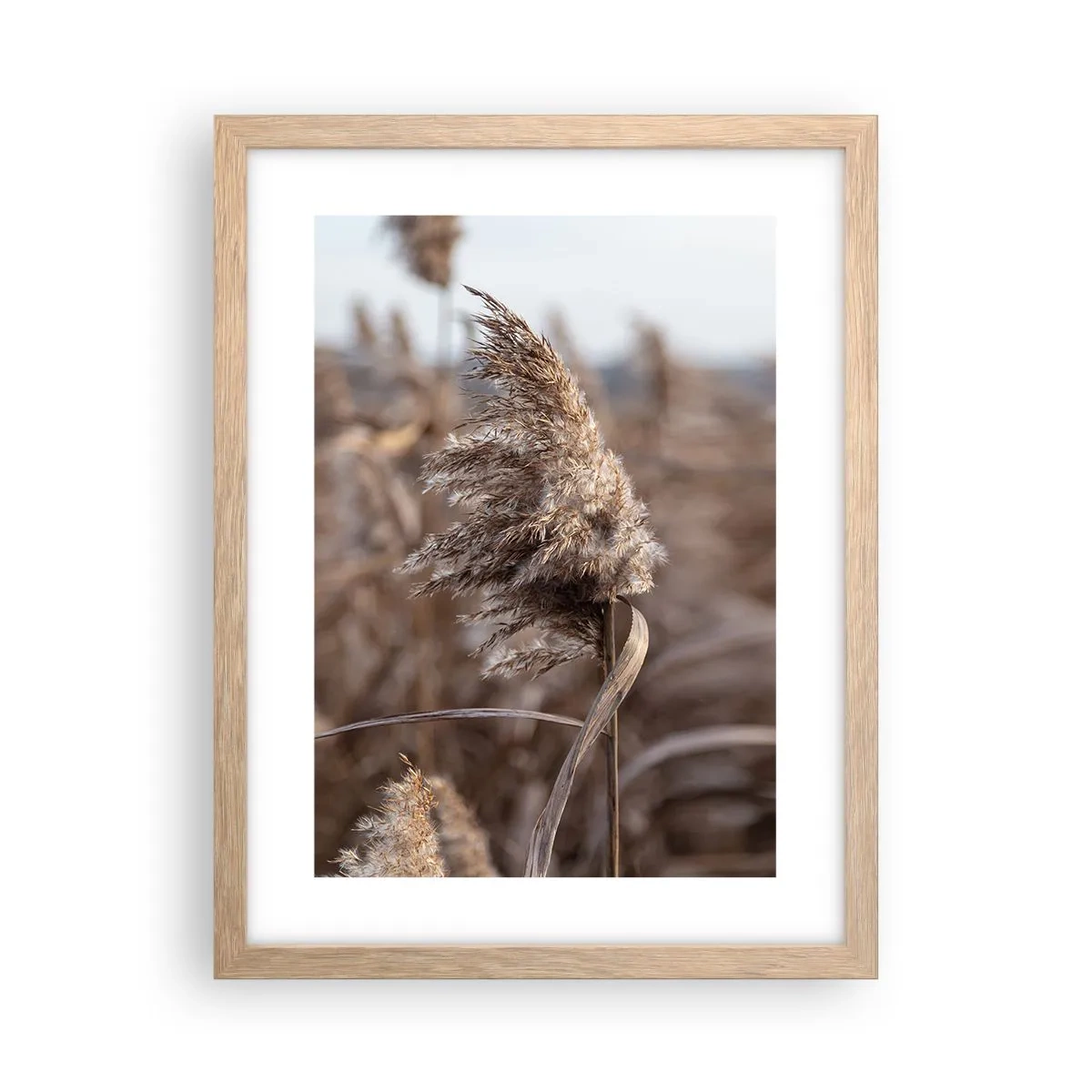 Póster en marco roble claro - Es hora de volar con el viento - 30x40 cm