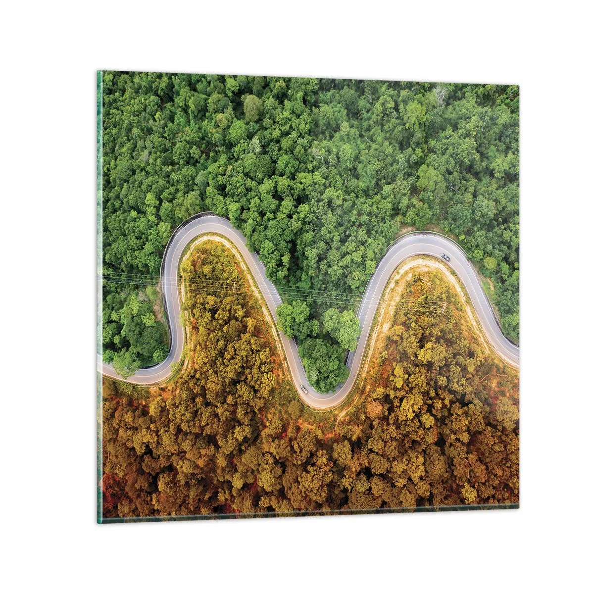 Cuadro sobre vidrio - Impresiones sobre Vidrio - Frontera serpenteante - 30x30 cm