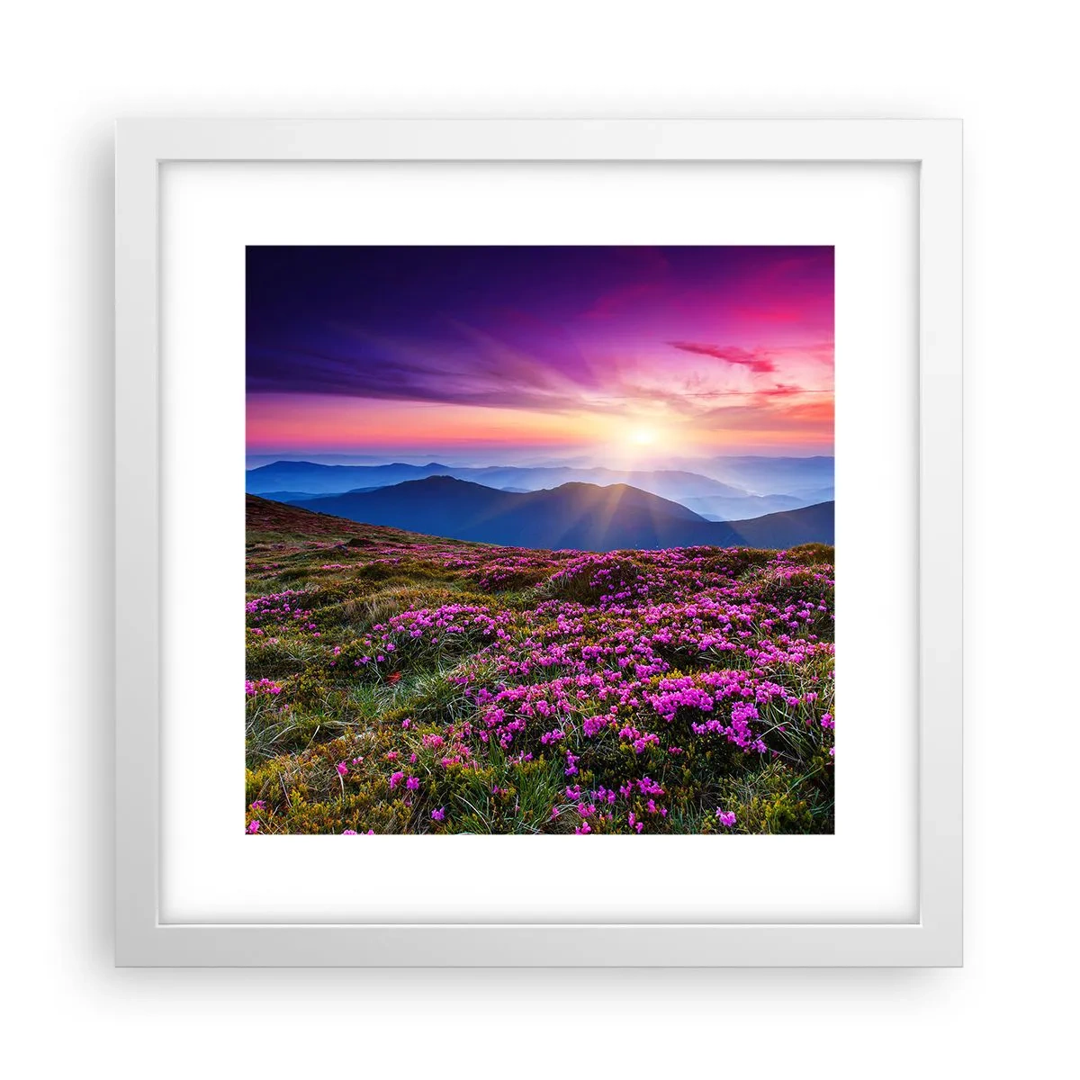 Póster en marco blanco - Dulce aroma a frescura - 30x30 cm