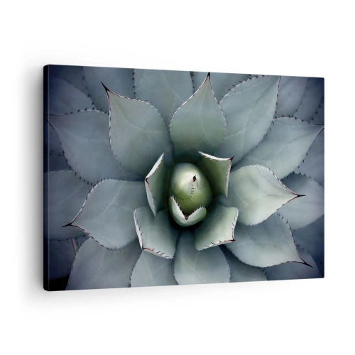 Cuadro sobre lienzo - Impresión de Imagen - Primer plano de una roseta de agave en delicados tonos verdes. - 70x50cm - Perfección natural - Decoración de pared moderna para salón y dormitorio ARTTOR