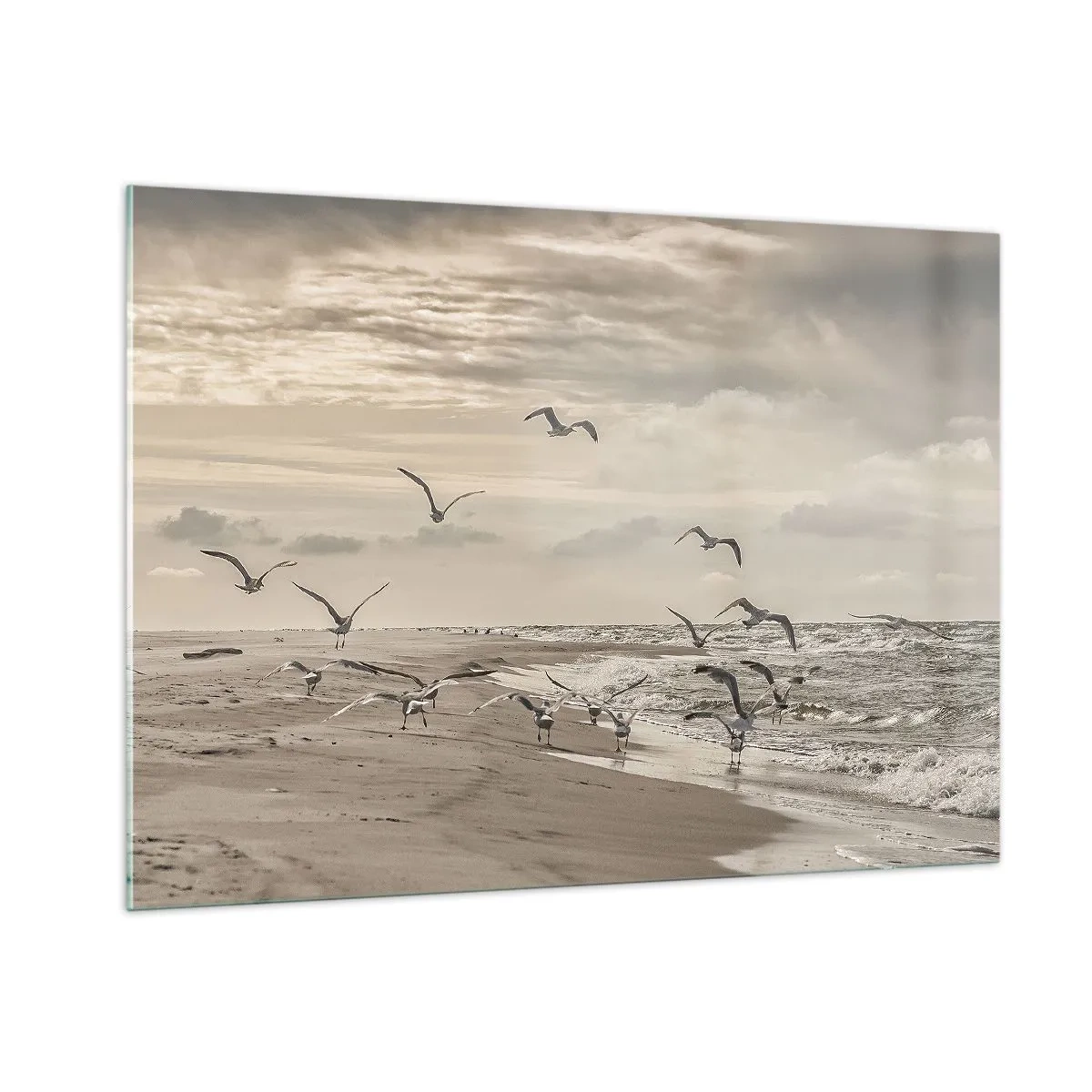 Cuadro sobre vidrio - Impresiones sobre Vidrio - Pájaros en la orilla del mar al amanecer en tonos sepia - 100x70cm - El sonido del mar, el canto de los pájaros - Decoración de pared moderna para salón y dormitorio ARTTOR