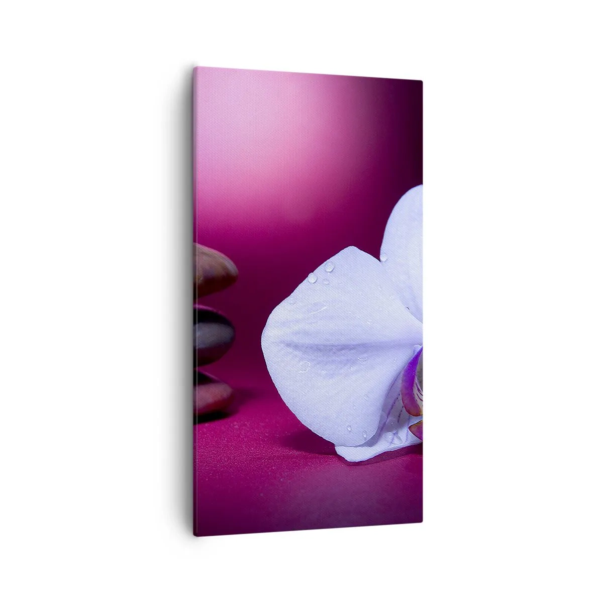Cuadro sobre lienzo - Impresión de Imagen - Estudio de frescura en violeta - 55x100 cm