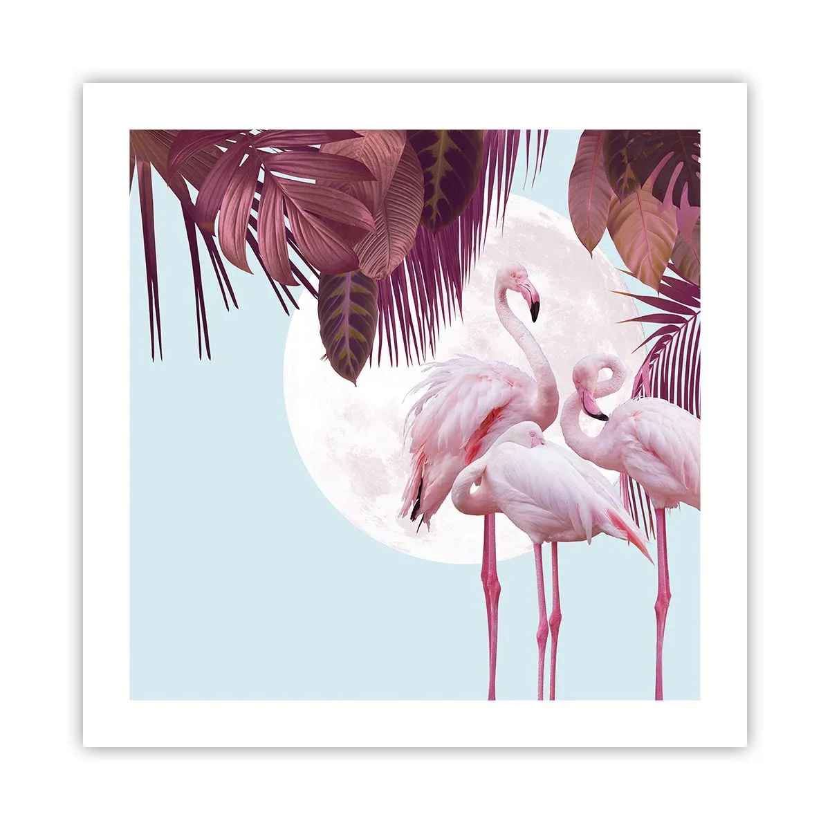 Póster - La grandeza de las aves - 50x50 cm