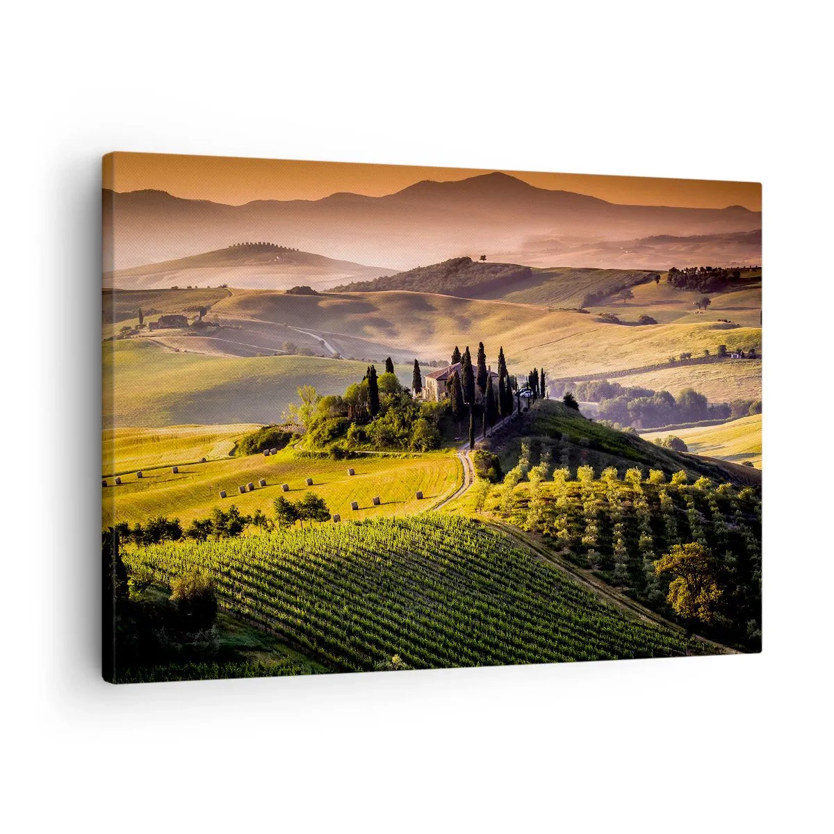 Cuadro sobre lienzo - Impresión de Imagen - Paisaje toscano con viñedos y una casa en una colina. - 70x50cm - Paisaje toscano - Decoración de pared moderna para salón y dormitorio ARTTOR