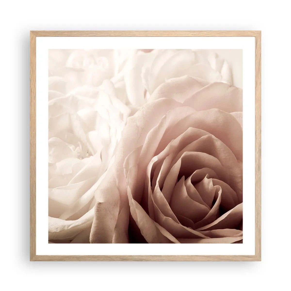 Póster en marco roble claro - En el corazón de una rosa - 60x60 cm