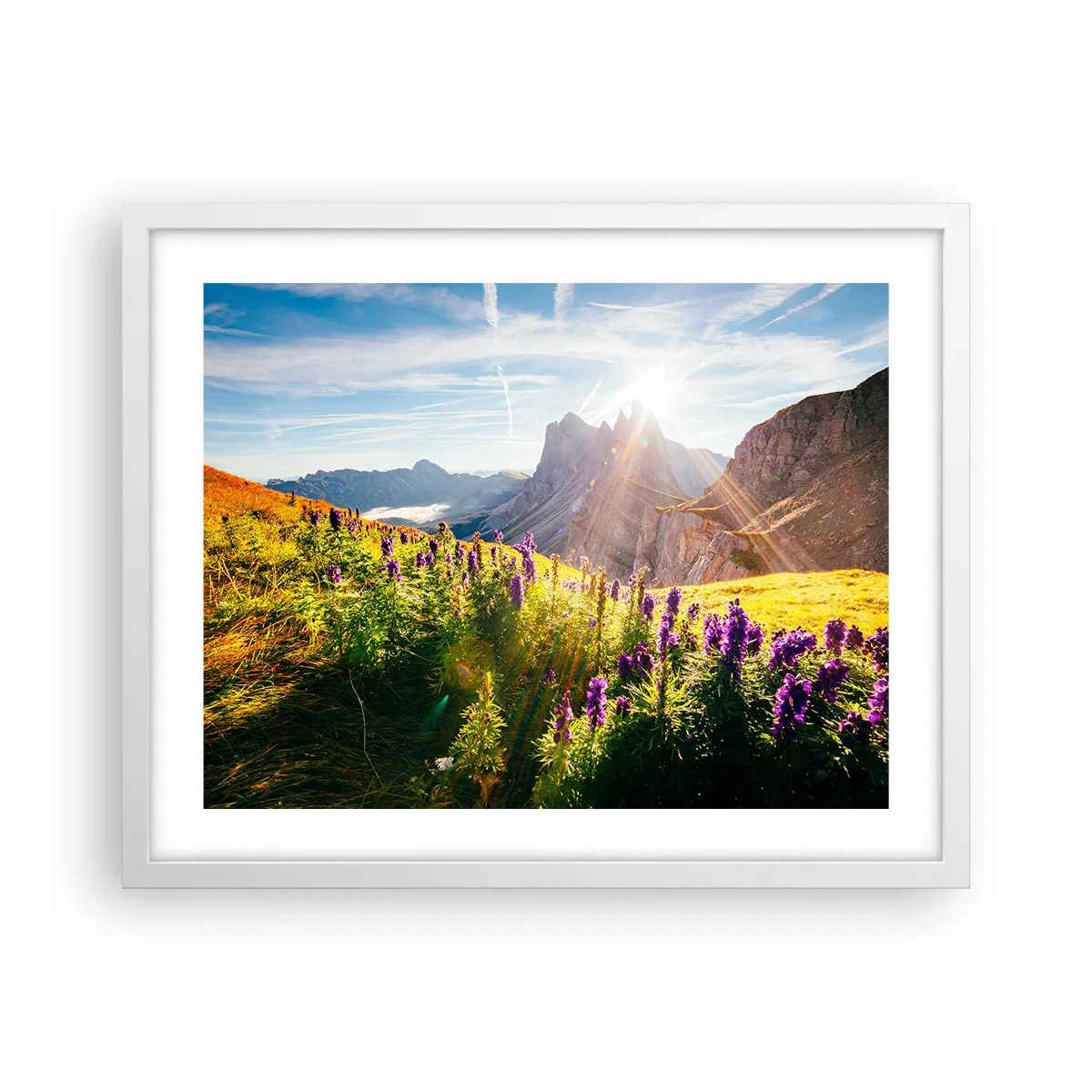 Póster en marco blanco - La vida secreta de las hierbas - 50x40 cm