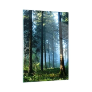 Cuadro sobre vidrio - Impresiones sobre Vidrio - Un sendero forestal en la niebla de la mañana entre árboles altos. - 50x70cm - Radiante por la mañana - Decoración de pared moderna para salón y dormitorio ARTTOR