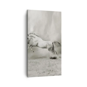 Cuadro sobre lienzo - Impresión de Imagen - Entre la realidad y el sueño - 45x80 cm