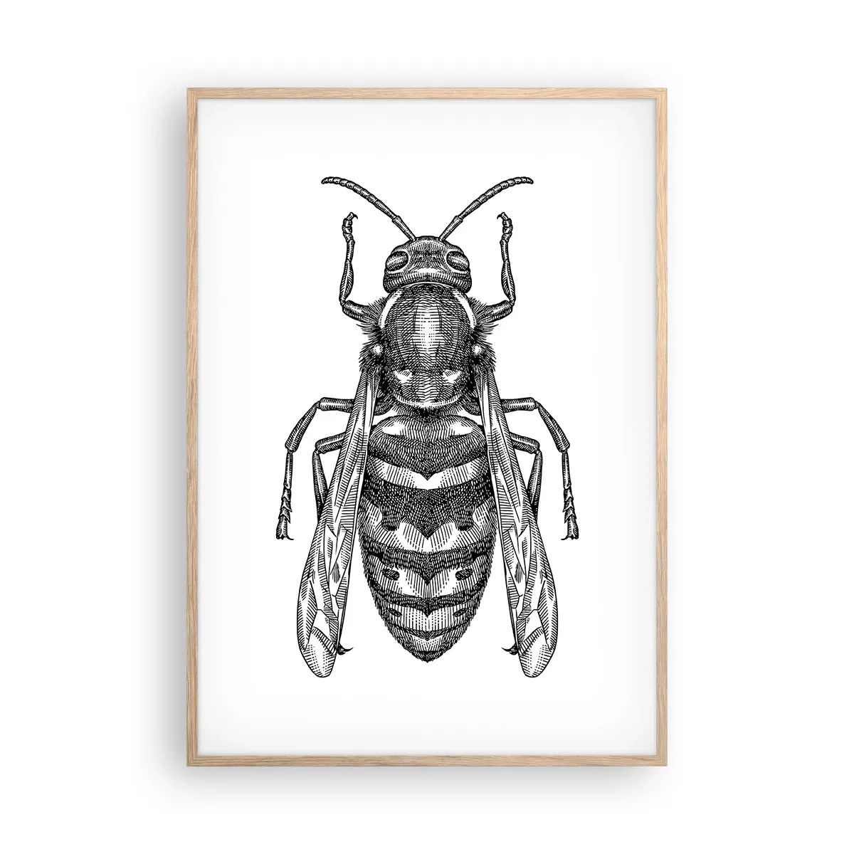 Póster en marco roble claro - Desde un planeta de insectos - 70x100 cm