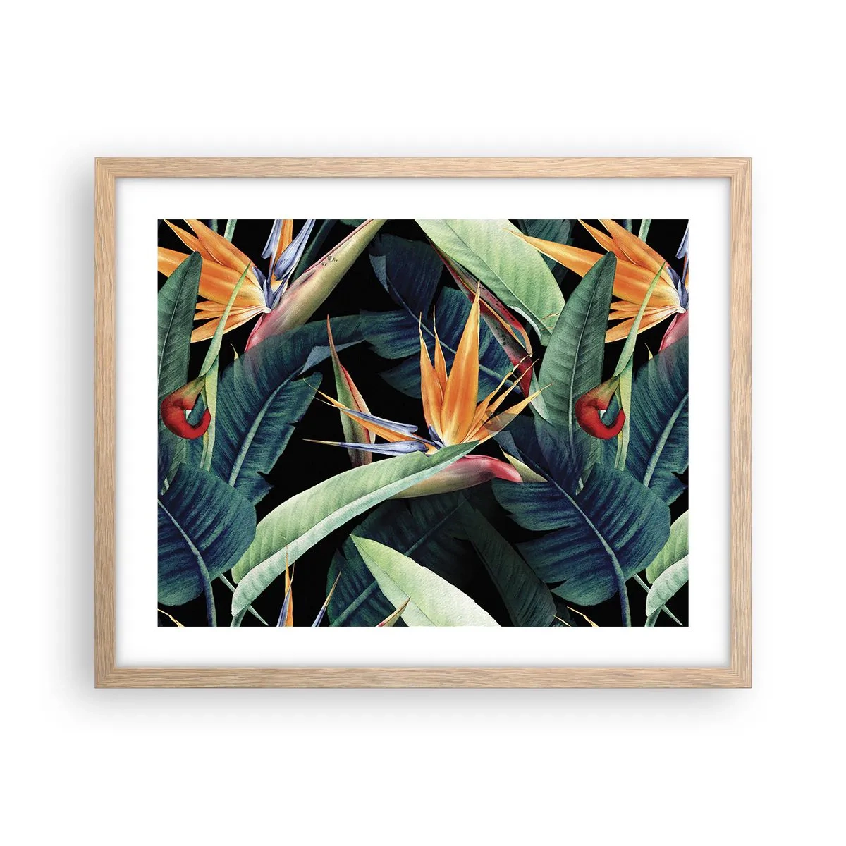 Póster en marco roble claro - Flores de llamas de los trópicos - 50x40 cm