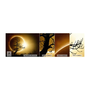 Muestra De Fotomural Standard Eco - Eclipse total - Eclipse, Árbol, Paisaje - 100x30 cm