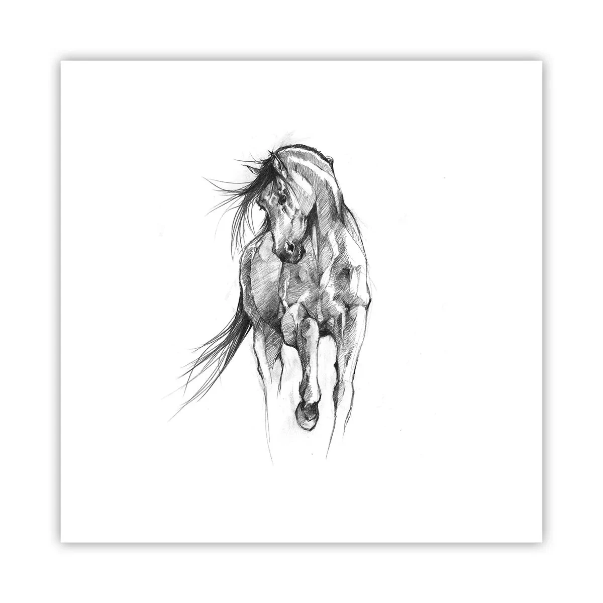 Póster - En un elegante trote - 30x30 cm