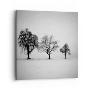 Cuadro sobre lienzo - Impresión de Imagen - ¿Con qué sueñan? - 40x40 cm