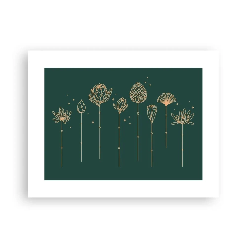 Póster - La familia vegetal - 40x30 cm