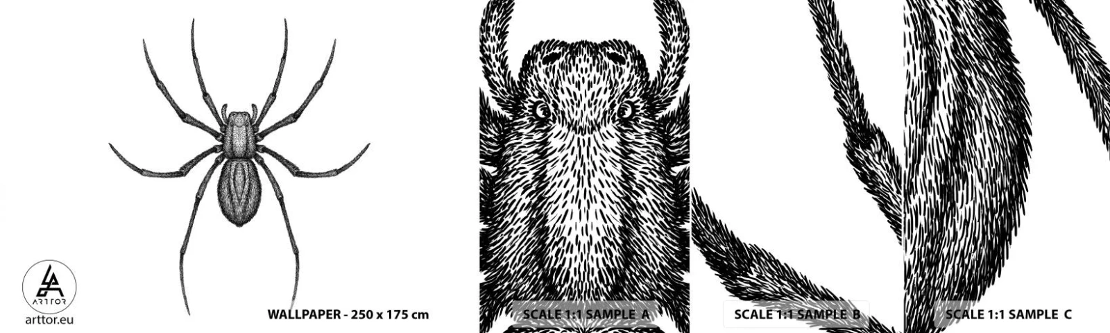 Muestra de fotomural autoadhesivo Deluxe Sticker - Precisión inquietante - Araña, Insecto, minimalista - 100x30 cm