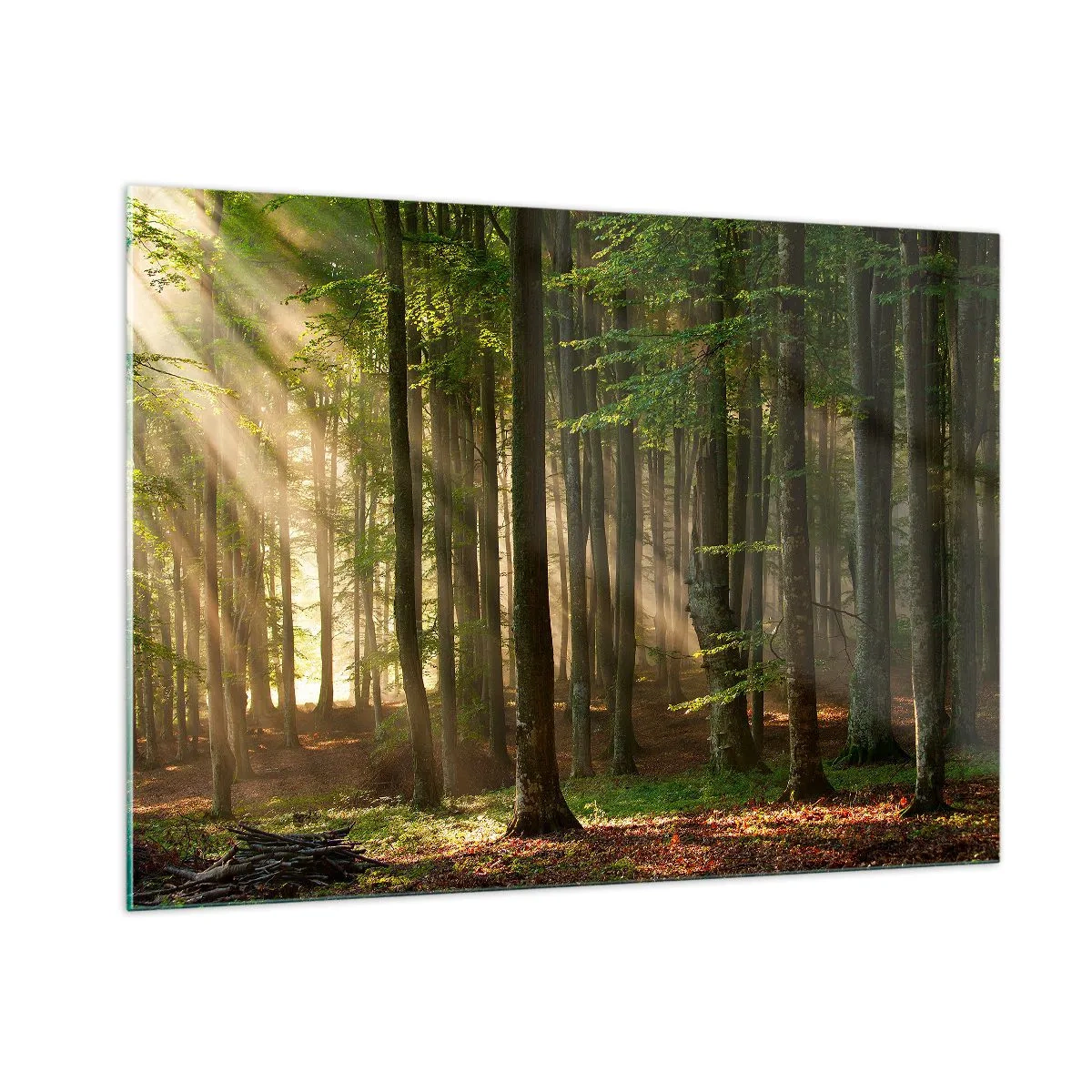 Cuadro sobre vidrio - Impresiones sobre Vidrio - Los rayos del sol brillan a través de los árboles del bosque. - 100x70cm - Radiante en una mañana de primavera - Decoración de pared moderna para salón y dormitorio ARTTOR