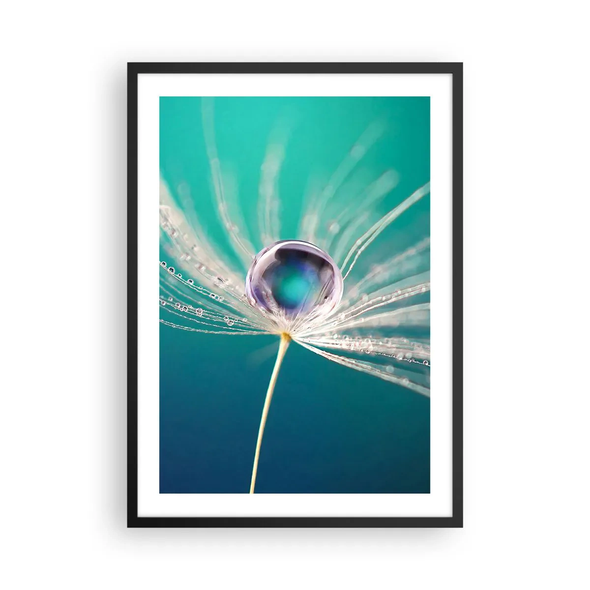 Póster en marco negro - Fotografía macro de una gota de agua sobre un diente de león. - 50x70cm - Momento místico - Decoración de pared moderna para salón y dormitorio ARTTOR