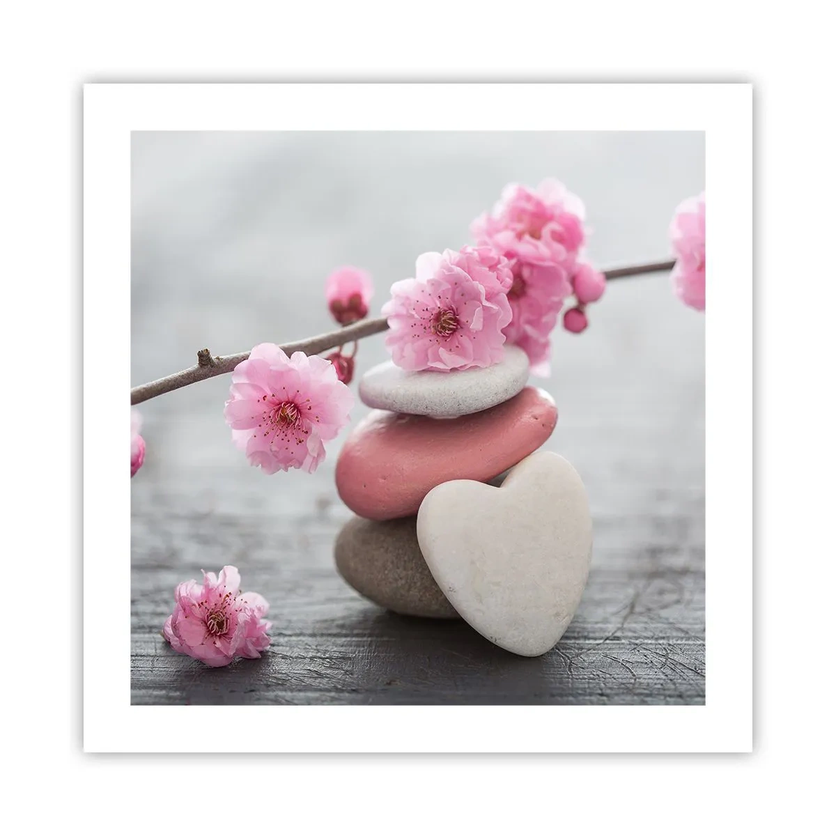 Póster - Felicidad con la flor del cerezo - 50x50 cm