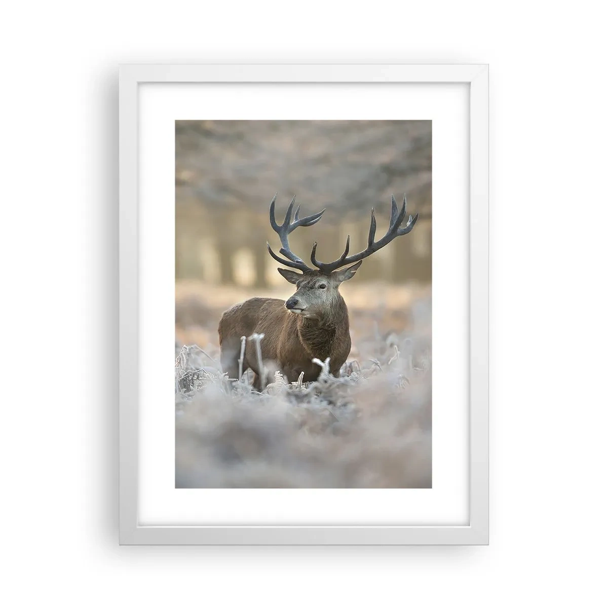 Póster en marco blanco - Una mañana fresca - 30x40 cm