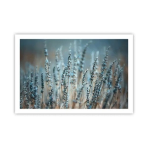 Póster - Fragante pasto - 91x61 cm