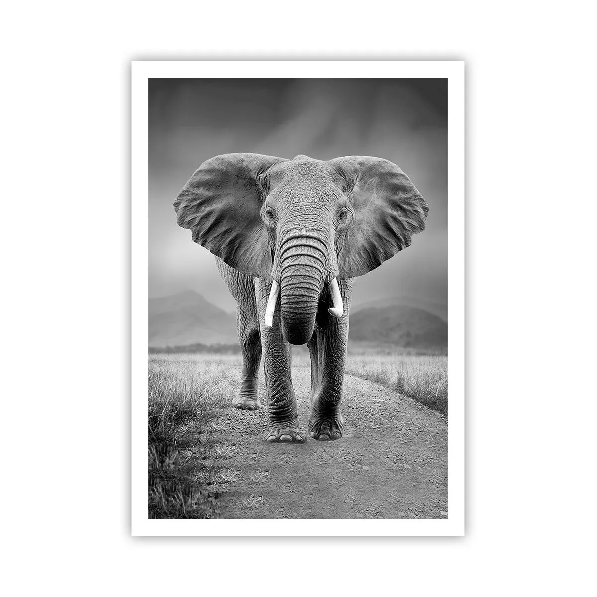 Póster - El anfitrión da la bienvenida - 70x100 cm