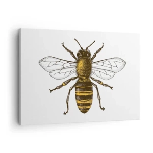 Cuadro sobre lienzo - Impresión de Imagen - Ilustración detallada de una abeja sobre un fondo blanco. - 70x50cm - Bondad natural - Decoración de pared moderna para salón y dormitorio ARTTOR