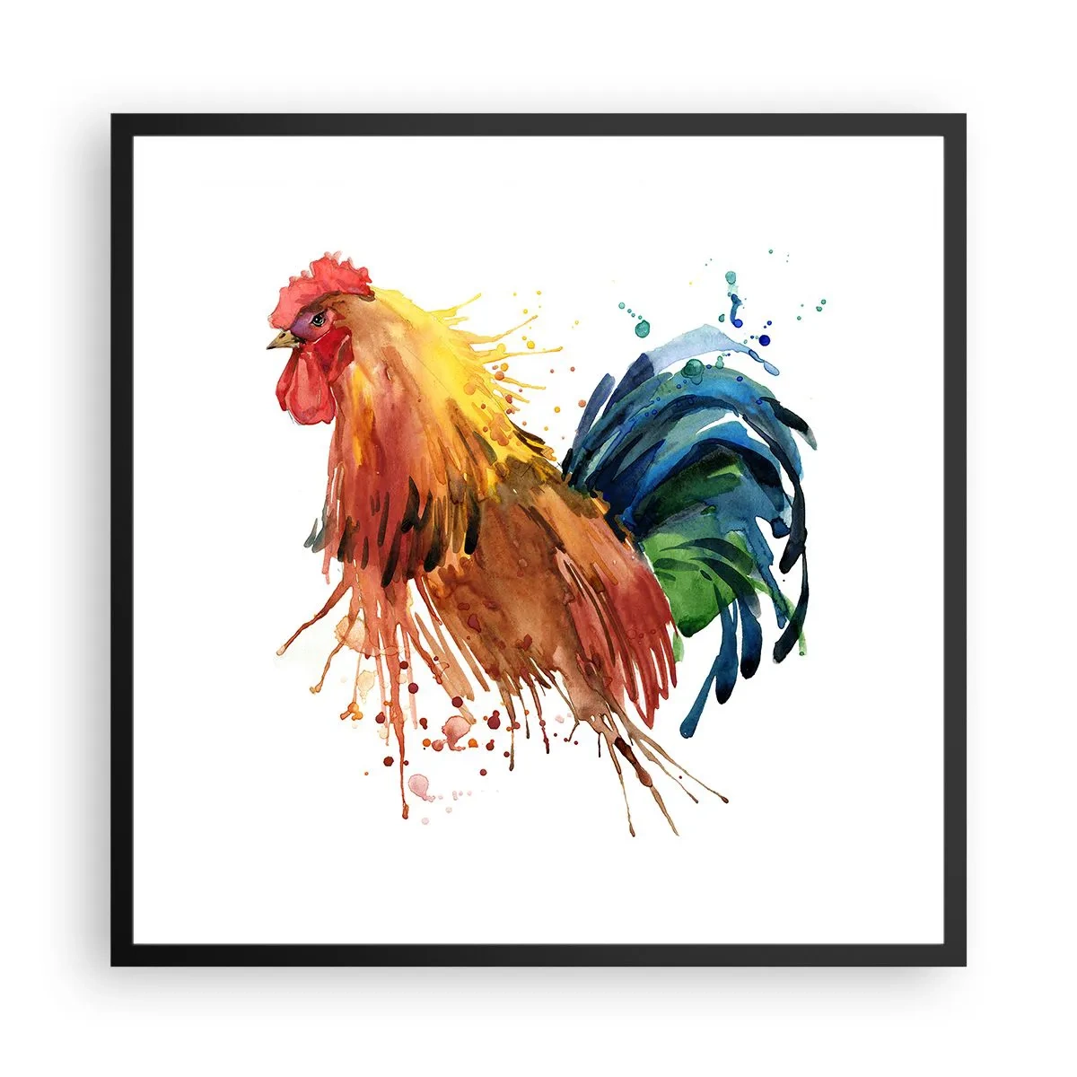 Póster en marco negro - Un manto real, un orgullo real - 60x60 cm