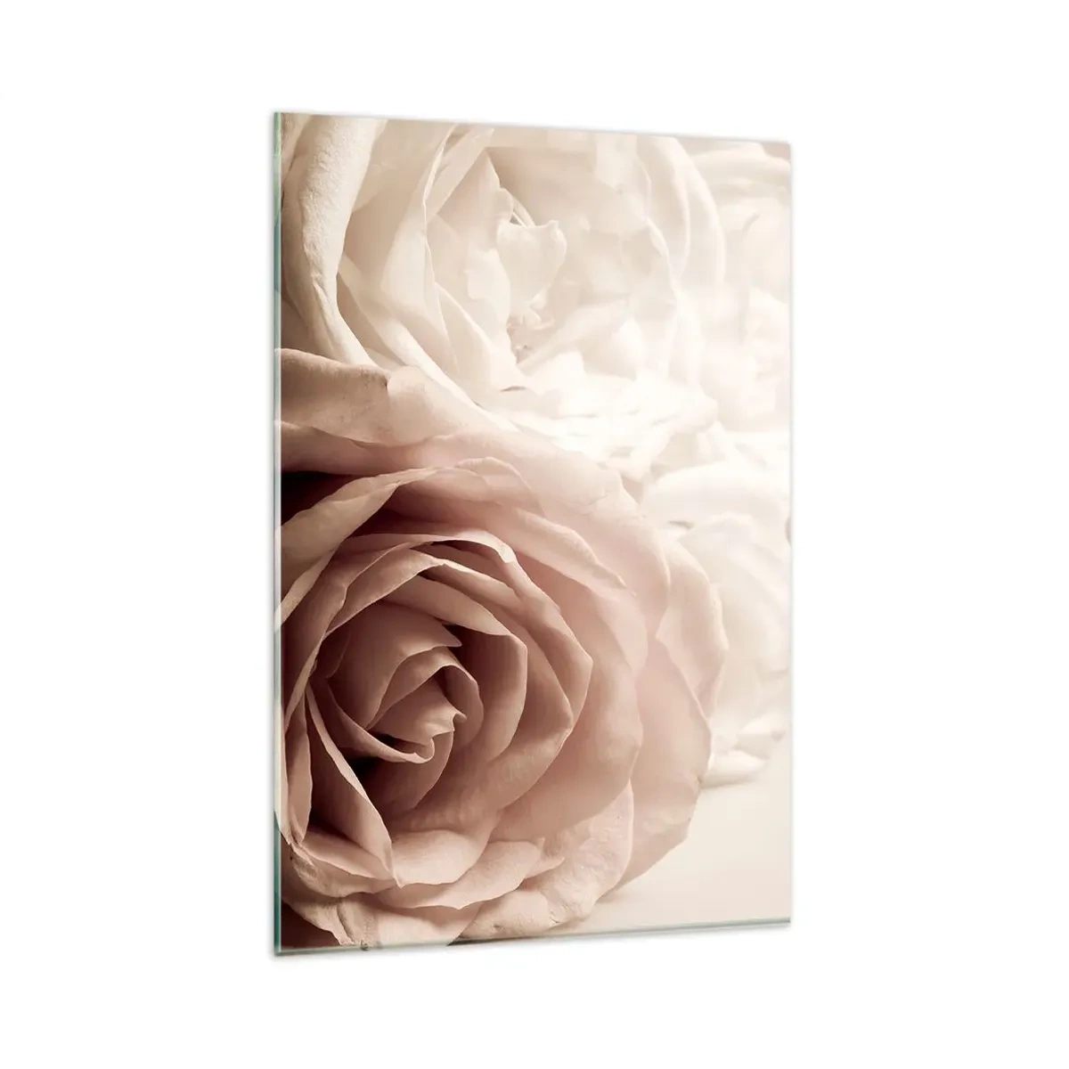 Cuadro sobre vidrio - Impresiones sobre Vidrio - Delicadas rosas en tonos pastel beige. - 80x120cm - En el corazón de una rosa - Decoración de pared moderna para salón y dormitorio ARTTOR