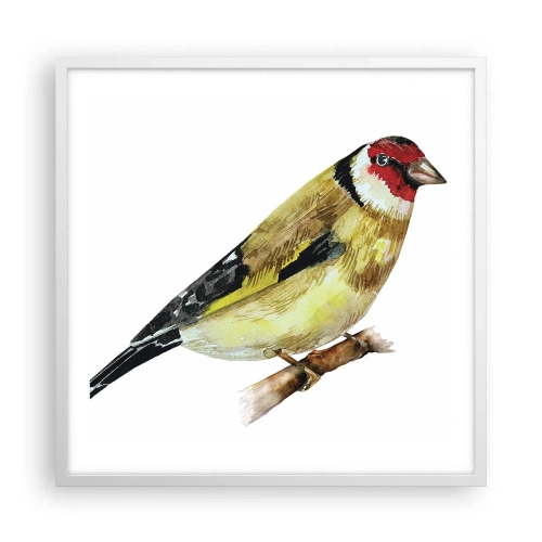 Póster en marco blanco - Retrato de pájaro - 60x60 cm