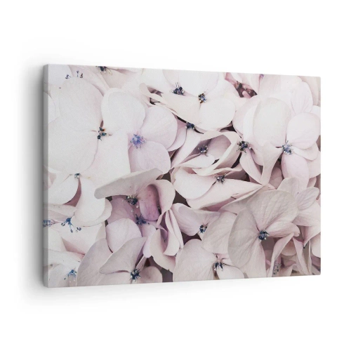 Cuadro sobre lienzo - Impresión de Imagen - Delicadas hortensias blancas en tonos pastel. - 70x50cm - En un torrente de flores - Decoración de pared moderna para salón y dormitorio ARTTOR