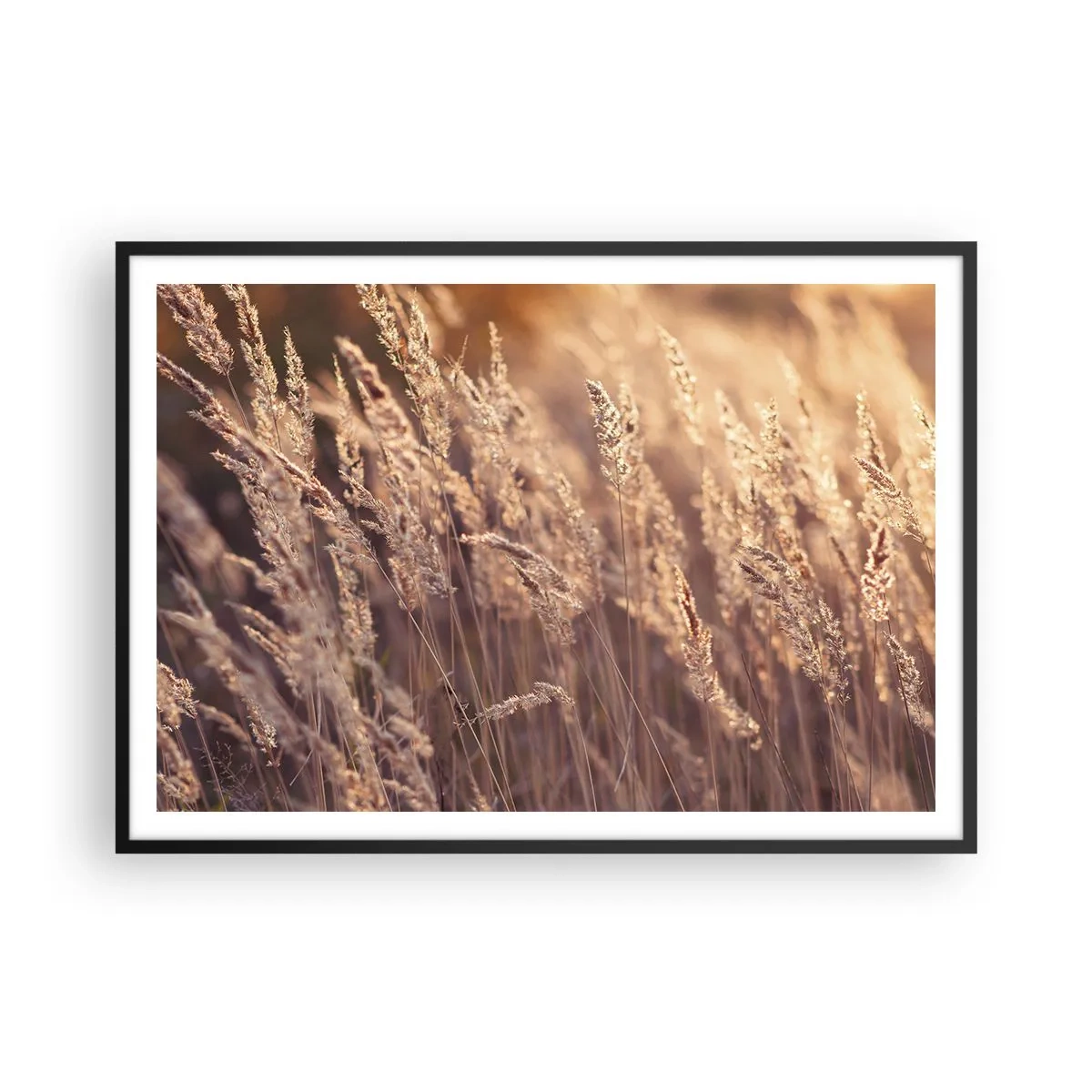 Póster en marco negro - Hierbas doradas con el sol poniente como telón de fondo - 100x70cm - Listos para dar la bienvenida al otoño - Decoración de pared moderna para salón y dormitorio ARTTOR