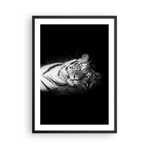 Póster en marco negro - Un tigre blanco en una toma contrastante sobre un fondo negro. - 50x70cm - Salvaje y tranquilo - Decoración de pared moderna para salón y dormitorio ARTTOR
