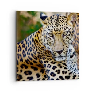 Cuadro sobre lienzo - Impresión de Imagen - Salvaje y tranquilo - 70x70 cm