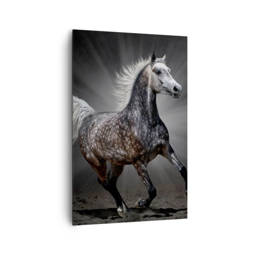 Cuadro sobre lienzo - Impresión de Imagen - Un caballo blanco galopando sobre un fondo oscuro. - 80x120cm - El gris es hermoso - Decoración de pared moderna para salón y dormitorio ARTTOR