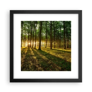 Póster en marco negro - Una fotografía de todos los manantiales - 30x30 cm