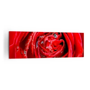 Cuadro sobre lienzo - Impresión de Imagen - Primer plano de una rosa roja con gotas de agua en los pétalos. - 160x50cm - En gotas de rocío - Decoración de pared moderna para salón y dormitorio ARTTOR