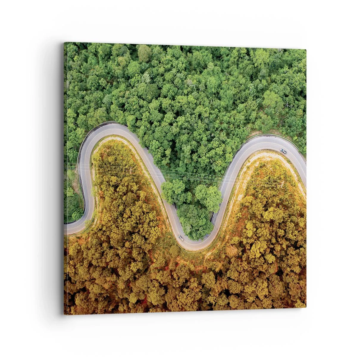 Cuadro sobre lienzo - Impresión de Imagen - Frontera serpenteante - 70x70 cm