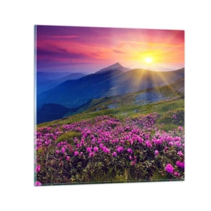 Cuadro sobre vidrio - Impresiones sobre Vidrio - ... Y el aroma a hierbas está por todas partes - 50x50 cm