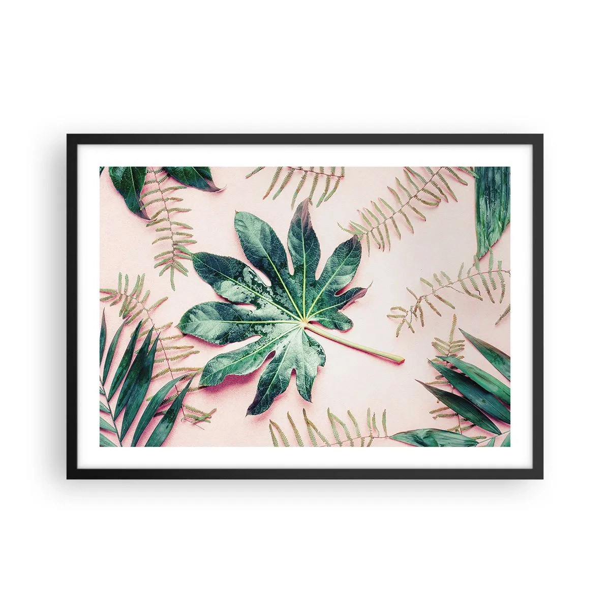 Póster en marco negro - Hojas tropicales sobre un fondo pastel claro. - 70x50cm - Estudio de vegetación sobre fondo rosa - Decoración de pared moderna para salón y dormitorio ARTTOR