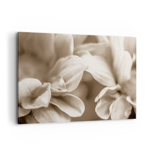 Cuadro sobre lienzo - Impresión de Imagen - Primer plano de flores en un delicado tono sepia con contornos suaves. - 100x70cm - Suave como una sonrisa - Decoración de pared moderna para salón y dormitorio ARTTOR