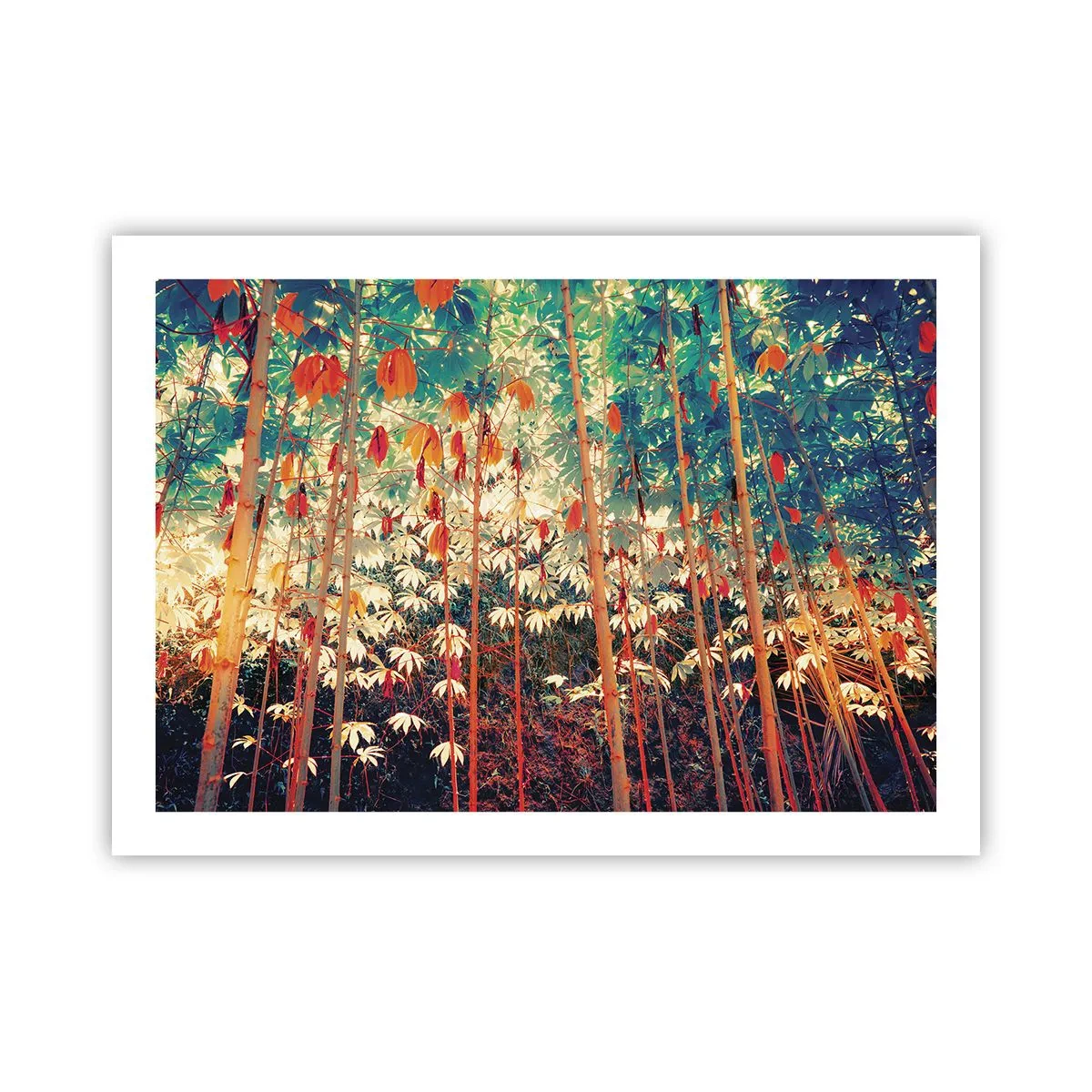 Póster - La vida secreta de las hojas - 70x50 cm