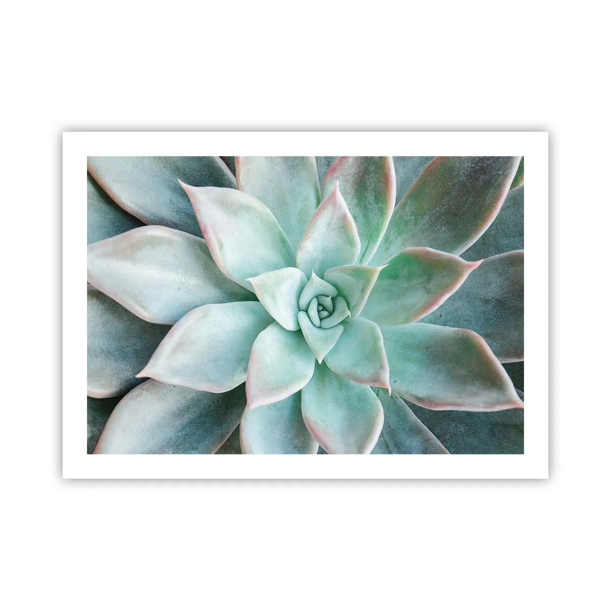 Póster - El corazón del desierto - 70x50 cm