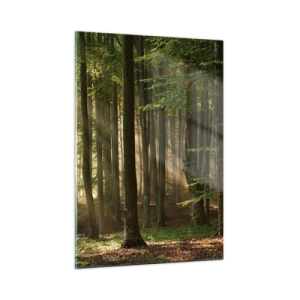 Cuadro sobre vidrio - Impresiones sobre Vidrio - Los rayos del sol brillan a través de los árboles del bosque. - 50x70cm - Radiante en una mañana de primavera - Decoración de pared moderna para salón y dormitorio ARTTOR
