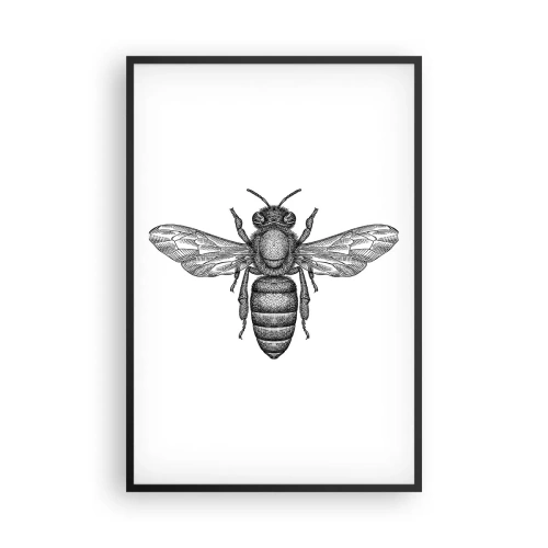 Póster en marco negro - Retrato de insecto - 61x91 cm