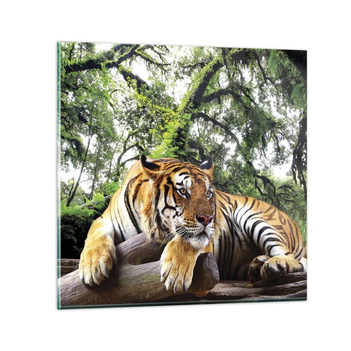 Cuadro sobre vidrio - Impresiones sobre Vidrio - Atentamente - 60x60 cm