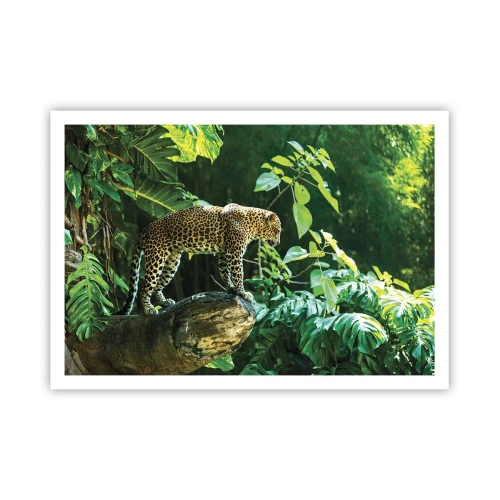 Póster - Un leopardo de pie sobre una roca rodeado de vegetación tropical. - 100x70cm - ¿A la caza? - Decoración de pared moderna para salón y dormitorio ARTTOR