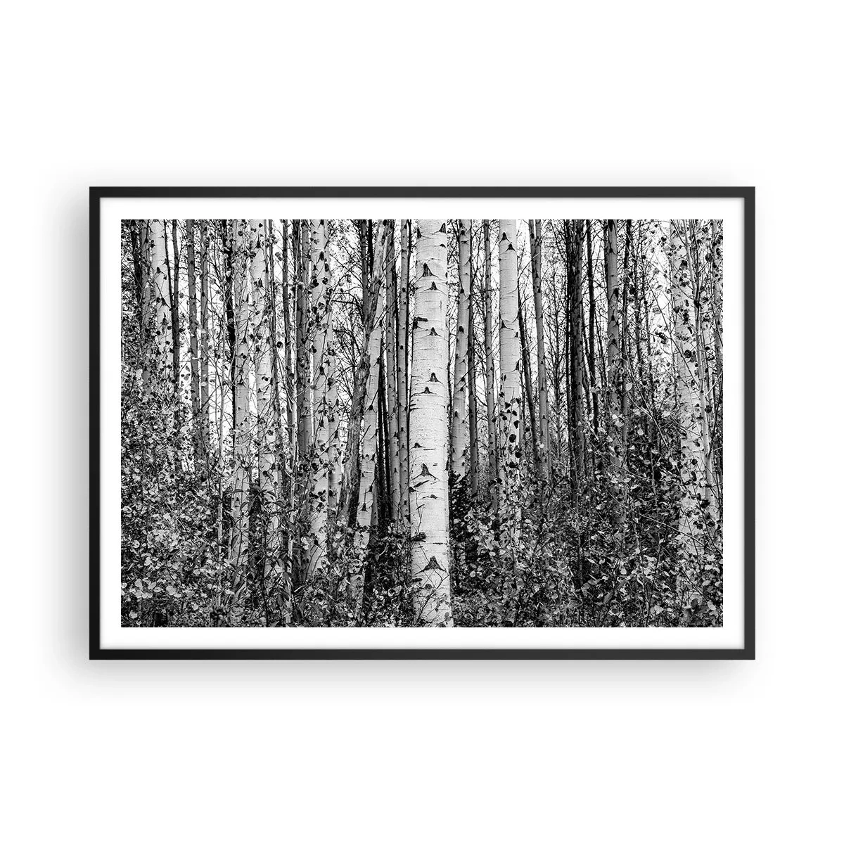 Póster en marco negro - Abedules blancos y negros en el bosque - 100x70cm - Columnas de abedules - Decoración de pared moderna para salón y dormitorio ARTTOR